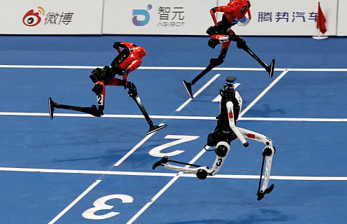 Why Cyprus wants its robots to make mistakes — and what the WRO surprise rule tests on 19 September
